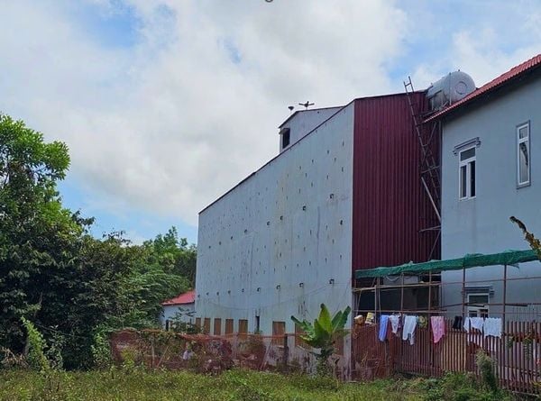 Hình ảnh bài viết