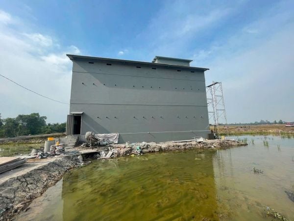 Hình ảnh bài viết