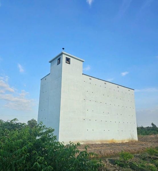 Hình ảnh bài viết