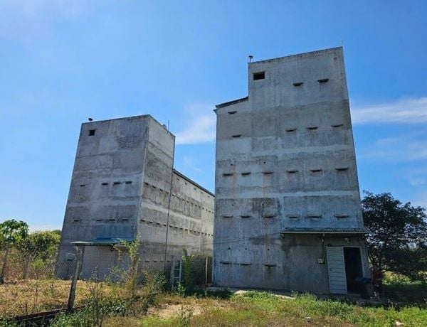 Hình ảnh bài viết