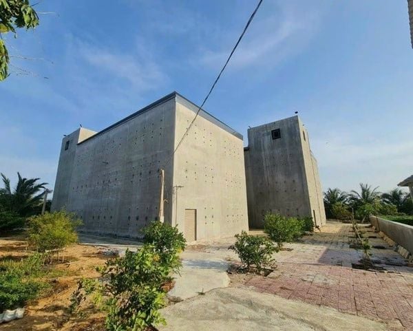 Hình ảnh bài viết