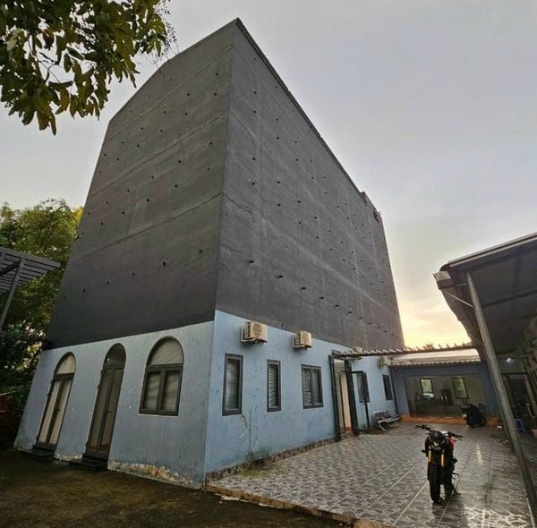 Hình ảnh bài viết