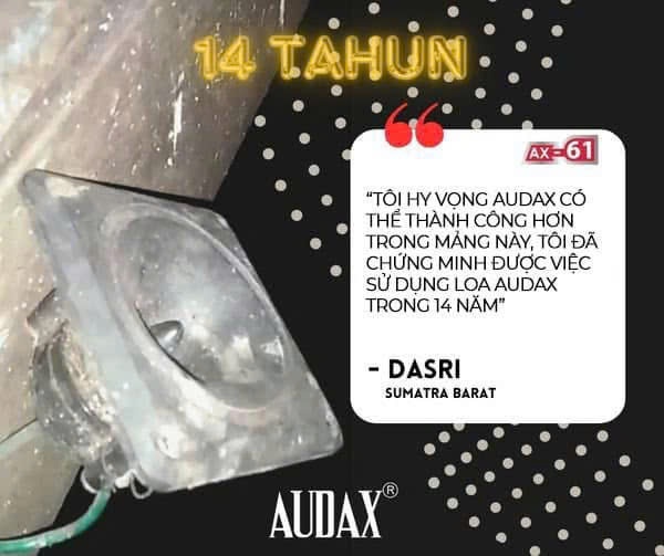 Hình ảnh bài viết