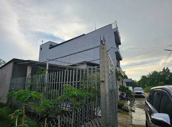 Hình ảnh bài viết