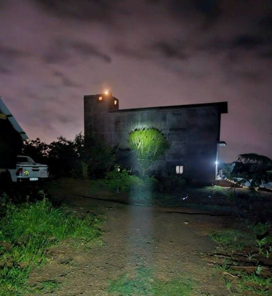 Hình ảnh bài viết