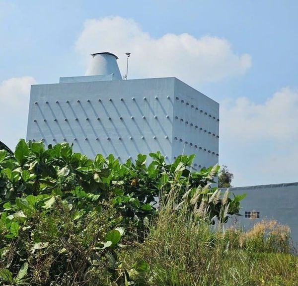 Hình ảnh bài viết