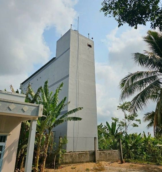 Hình ảnh bài viết