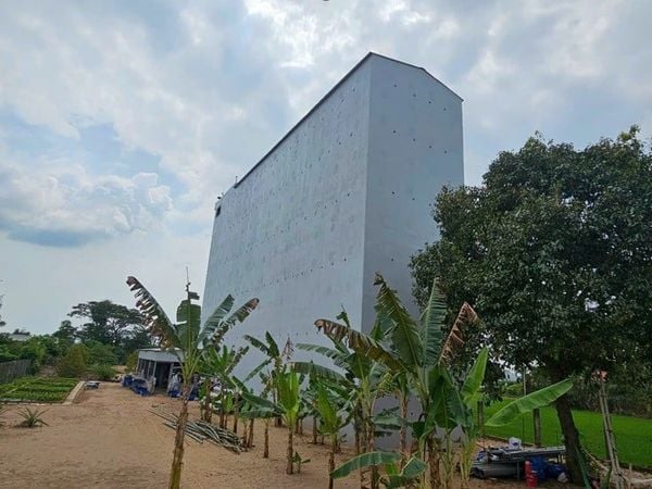 Hình ảnh bài viết