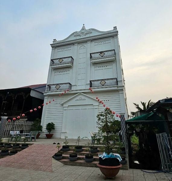 Hình ảnh bài viết