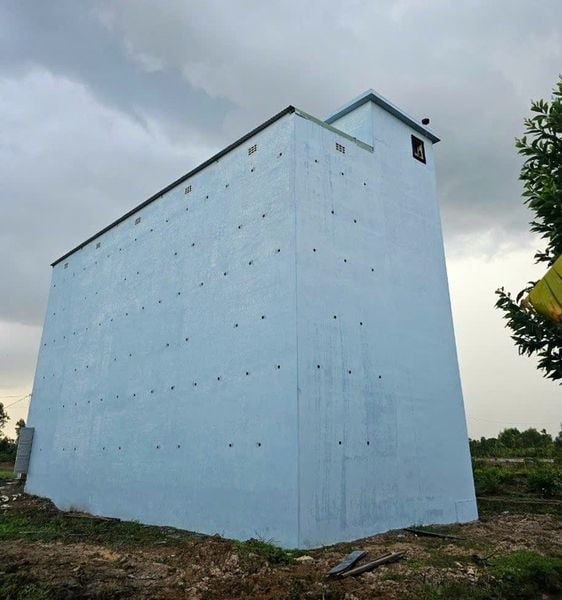 Hình ảnh bài viết