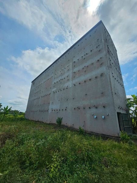 Hình ảnh bài viết