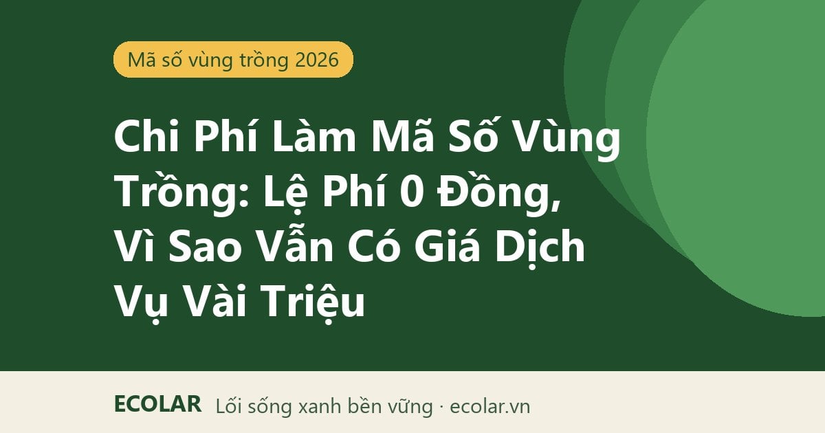 Chi Phí Làm Mã Số Vùng Trồng: Không Có Lệ Phí, Vì Sao Vẫn Có Giá Dịch Vụ