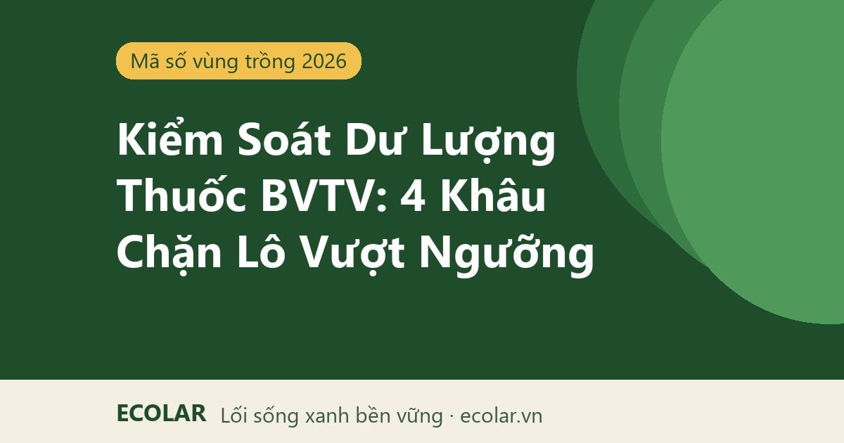 Kiểm Soát Dư Lượng Thuốc BVTV: 4 Khâu Chặn Lô Vượt Ngưỡng