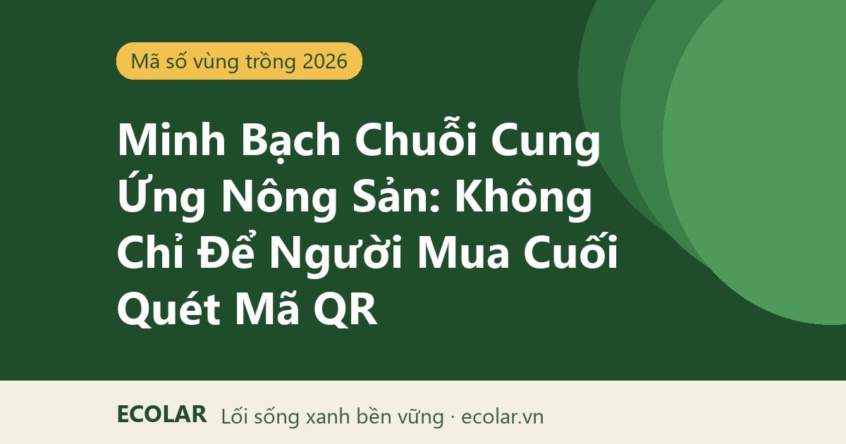 Minh Bạch Chuỗi Cung Ứng Nông Sản: Không Chỉ Để Người Mua Cuối Quét Mã QR