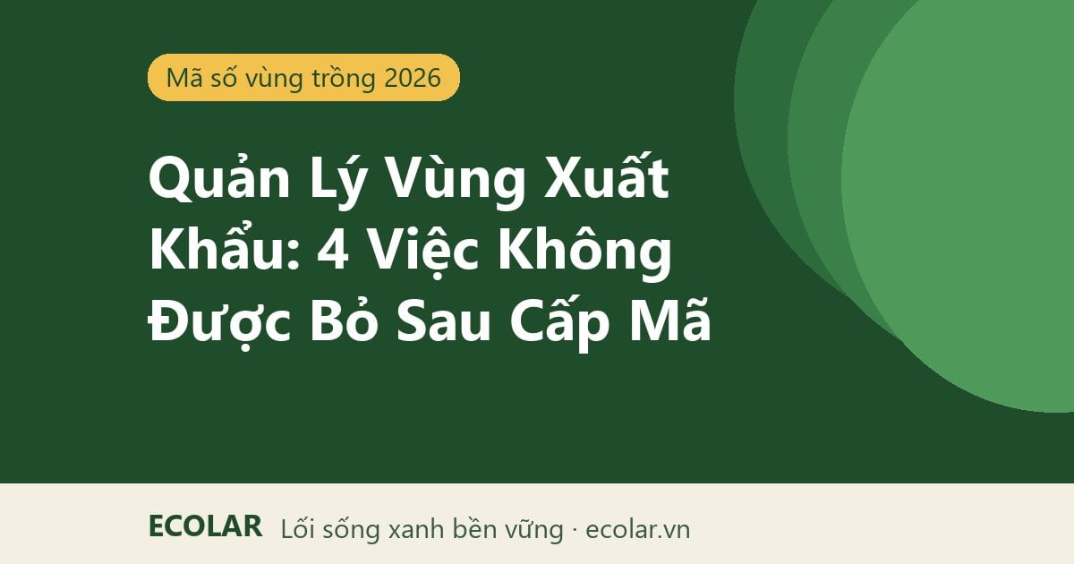 Quản Lý Vùng Xuất Khẩu: 4 Việc Không Được Bỏ Sau Cấp Mã