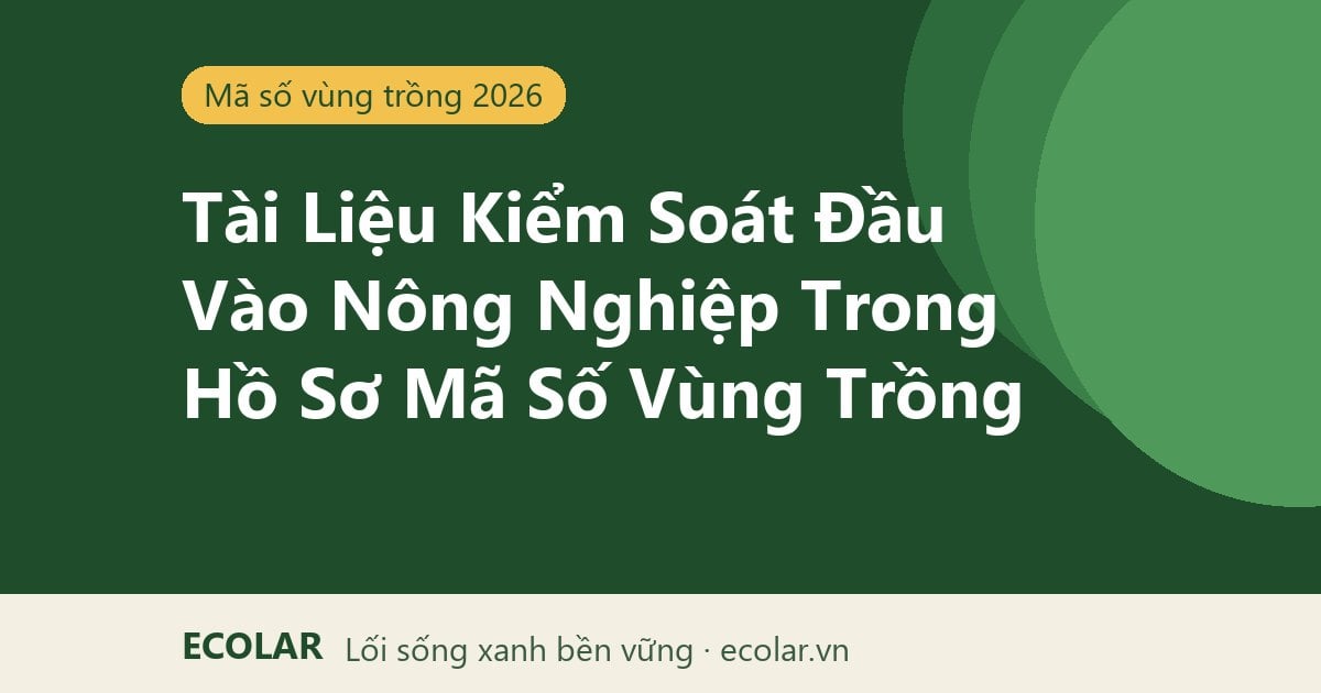 Tài Liệu Kiểm Soát Đầu Vào Nông Nghiệp Trong Hồ Sơ Mã Số Vùng Trồng