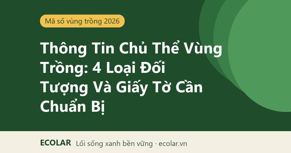 Thông Tin Chủ Thể Vùng Trồng: 4 Loại Đối Tượng Và Giấy Tờ Cần Chuẩn Bị