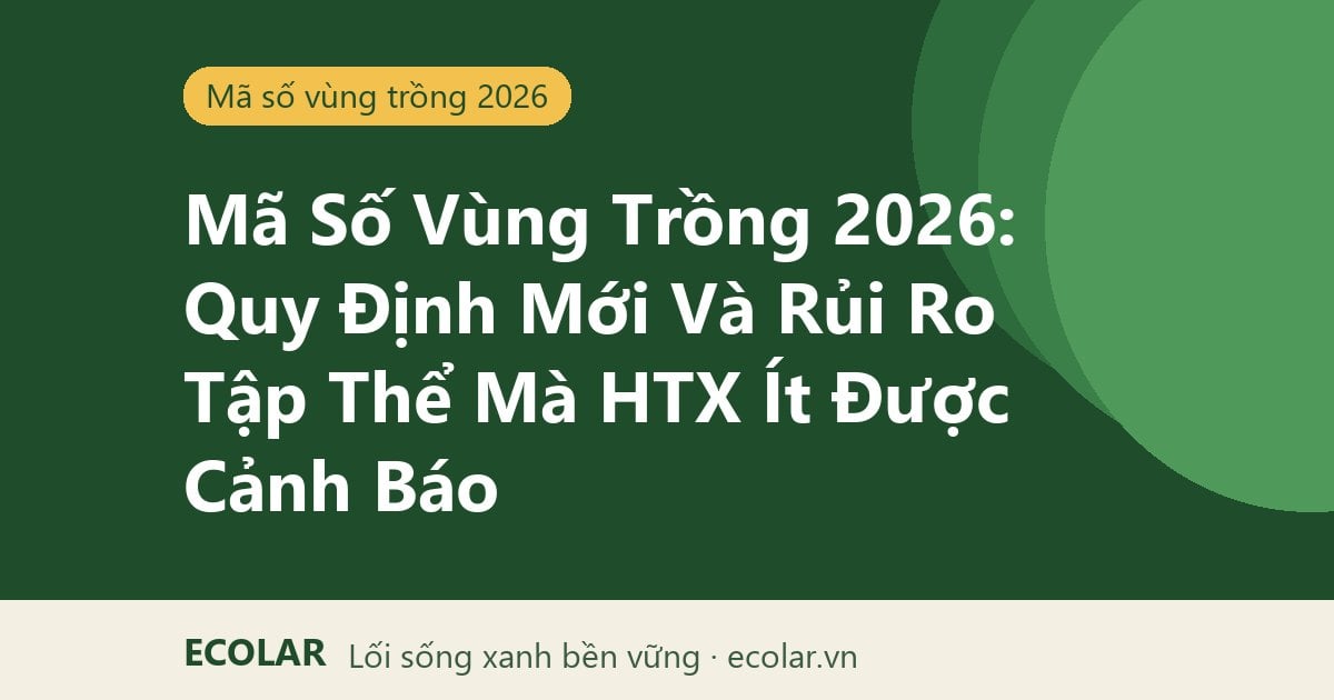Mã Số Vùng Trồng 2026: Quy Định Mới Và Rủi Ro Tập Thể Mà HTX Ít Được Cảnh Báo