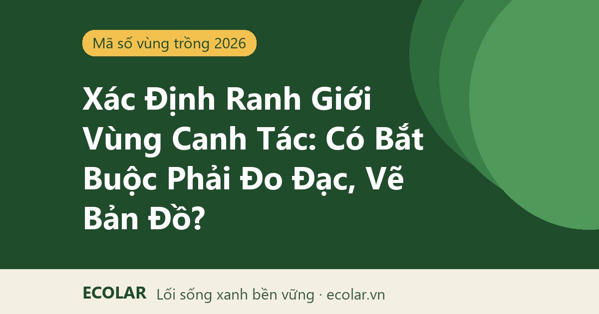 Xác Định Ranh Giới Vùng Canh Tác: Có Bắt Buộc Phải Đo Đạc, Vẽ Bản Đồ?