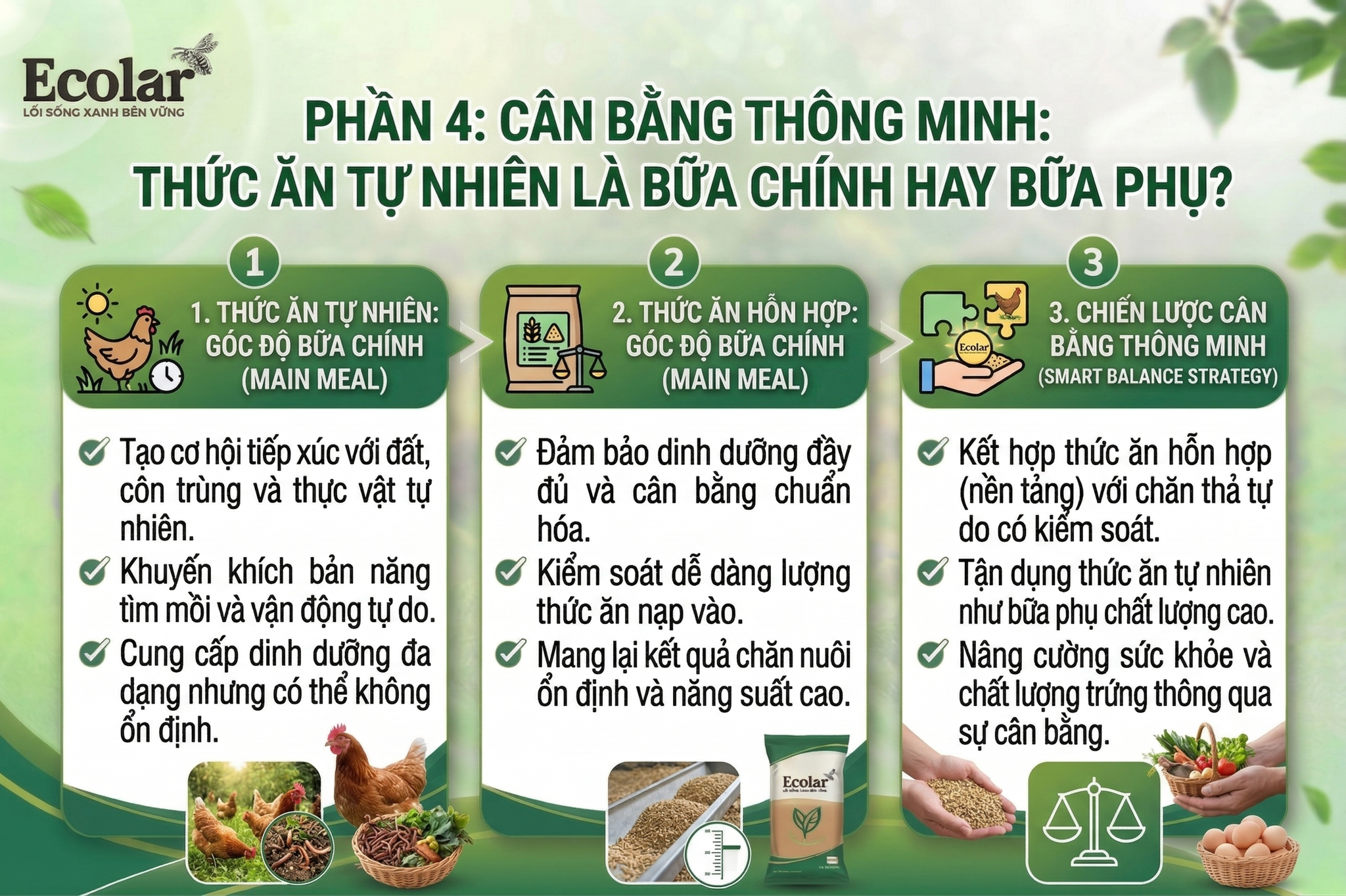 Cân Bằng Thông Minh: Thức Ăn Tự Nhiên Là Bữa Chính Hay Bữa Phụ?