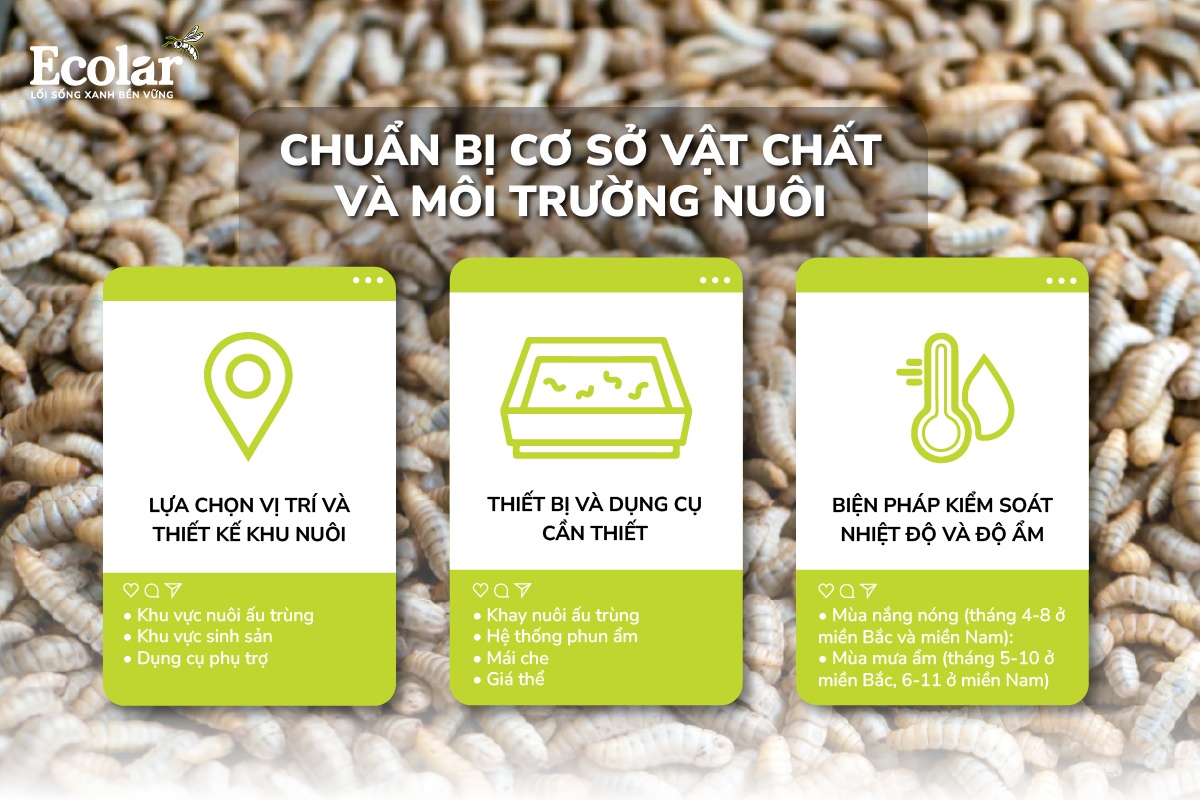 Chuẩn bị cơ sở vật chất và môi trường nuôi