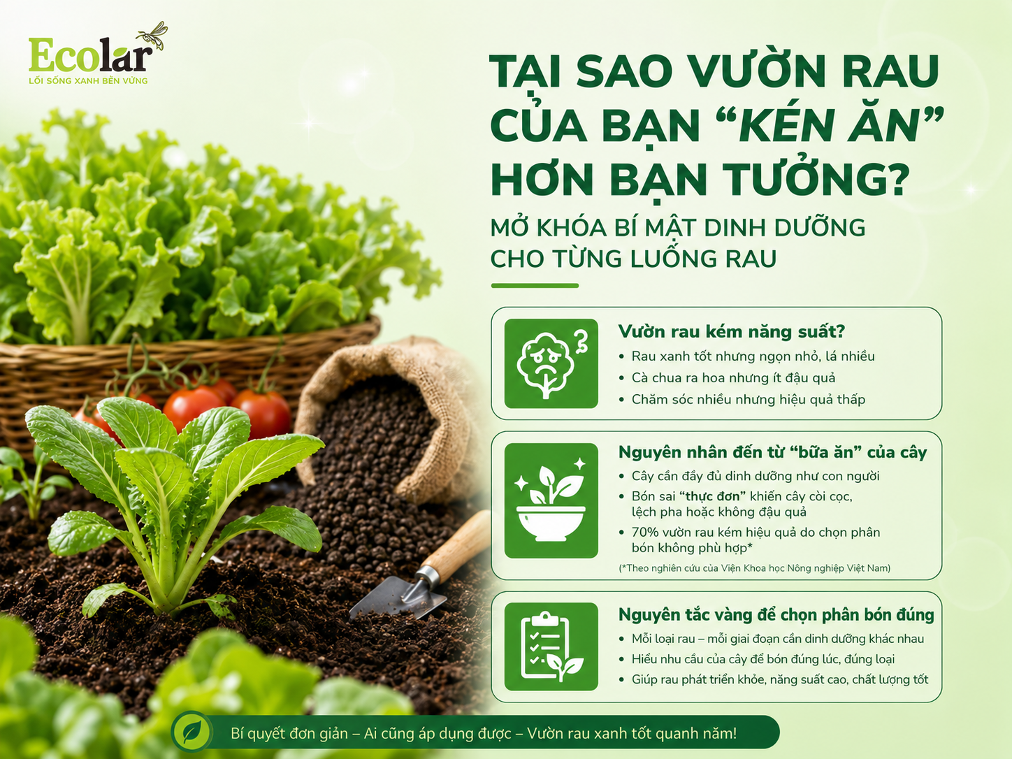Tại Sao Vườn Rau Của Bạn 