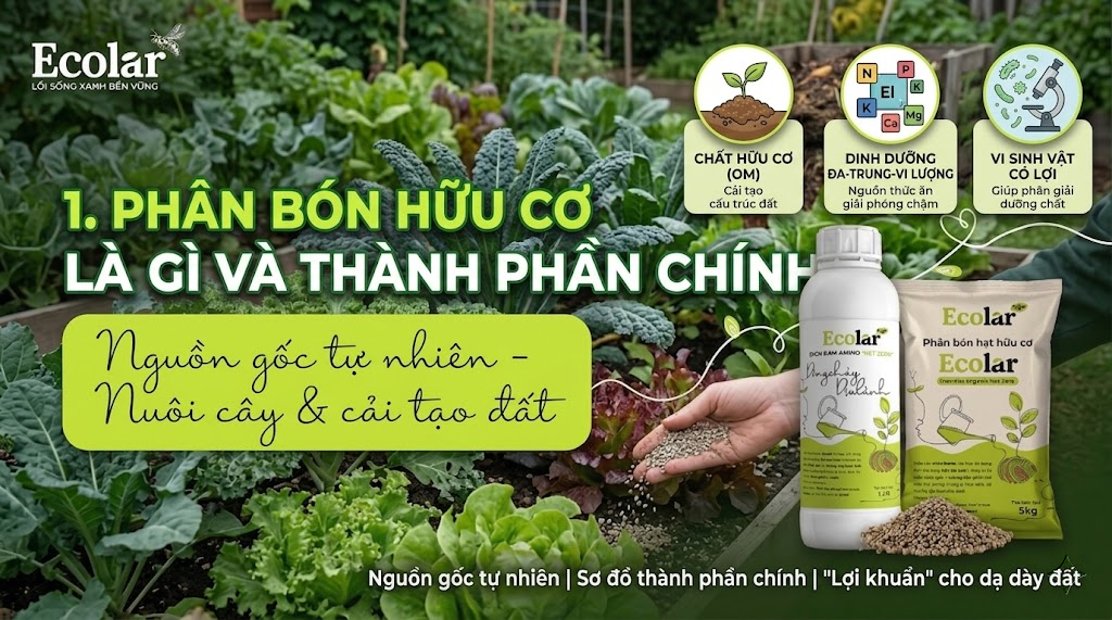 Phân Bón Hữu Cơ Là Gì Và Thành Phần Chính