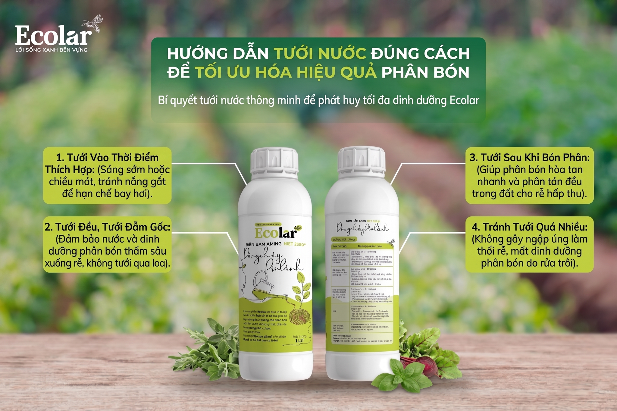 Hướng Dẫn Tưới Nước Đúng Cách Để Tối Ưu Hóa Hiệu Quả Phân Bón