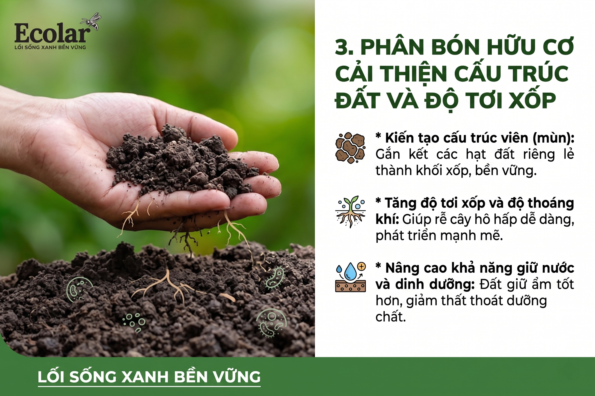 Phân bón hữu cơ cải thiện cấu trúc đất và độ tơi xốp