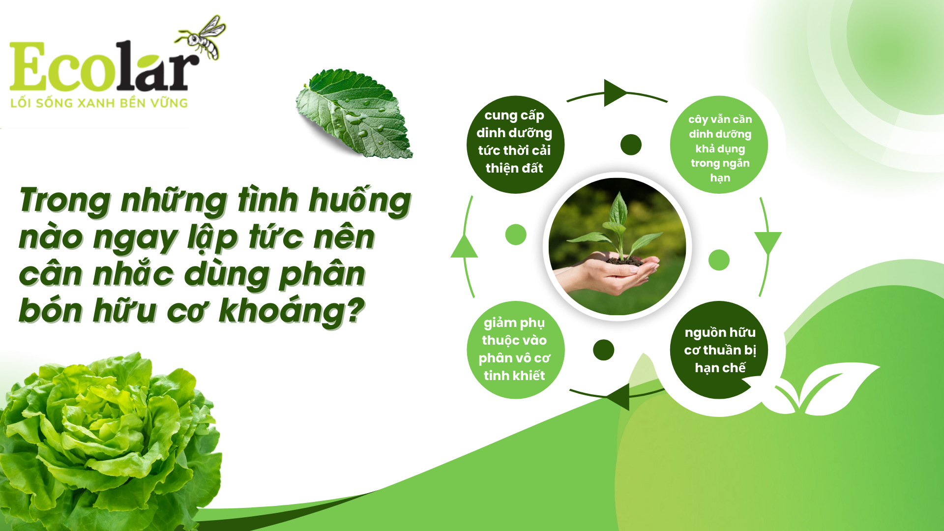 1-trong-nhung-tinh-huong-nao-ngay-lap-tuc-can-nhac-dung-phan-bon-huu-co-khoang