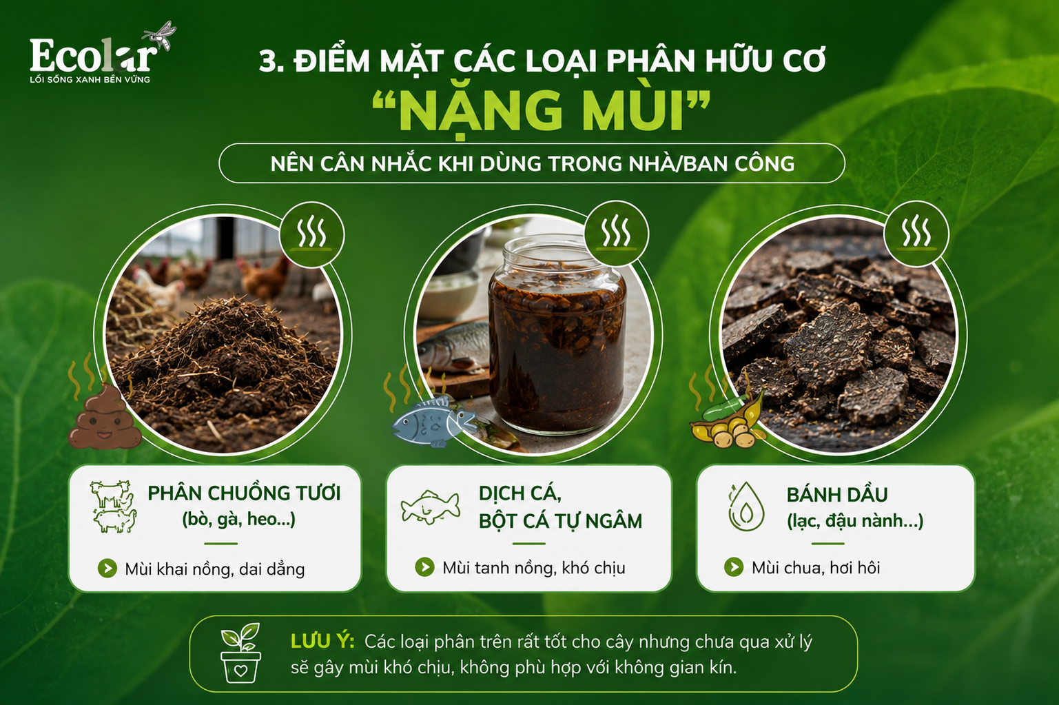 Điểm Mặt Các Loại Phân Hữu Cơ 