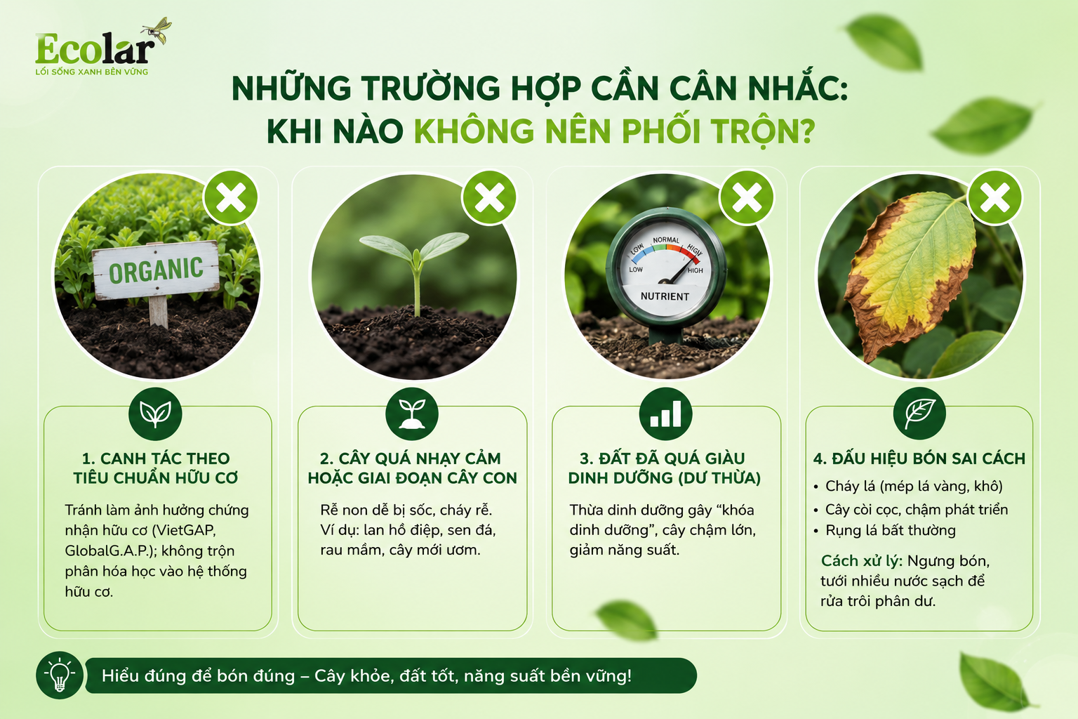 Những Trường Hợp Cần Cân Nhắc: Khi Nào KHÔNG Nên Phối Trộn?