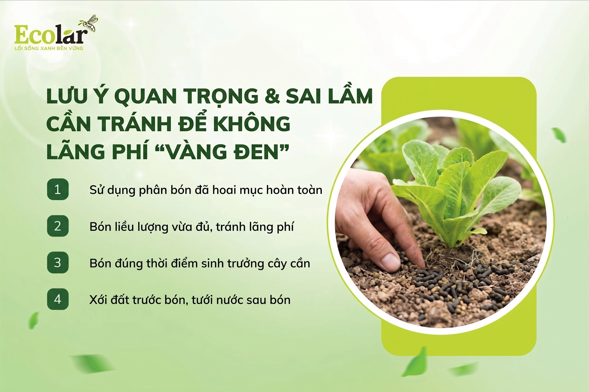 -can-tranh-de-khong-lang-phi-vang-den_3229759e183a4736bdd50f0175fcb69c.png