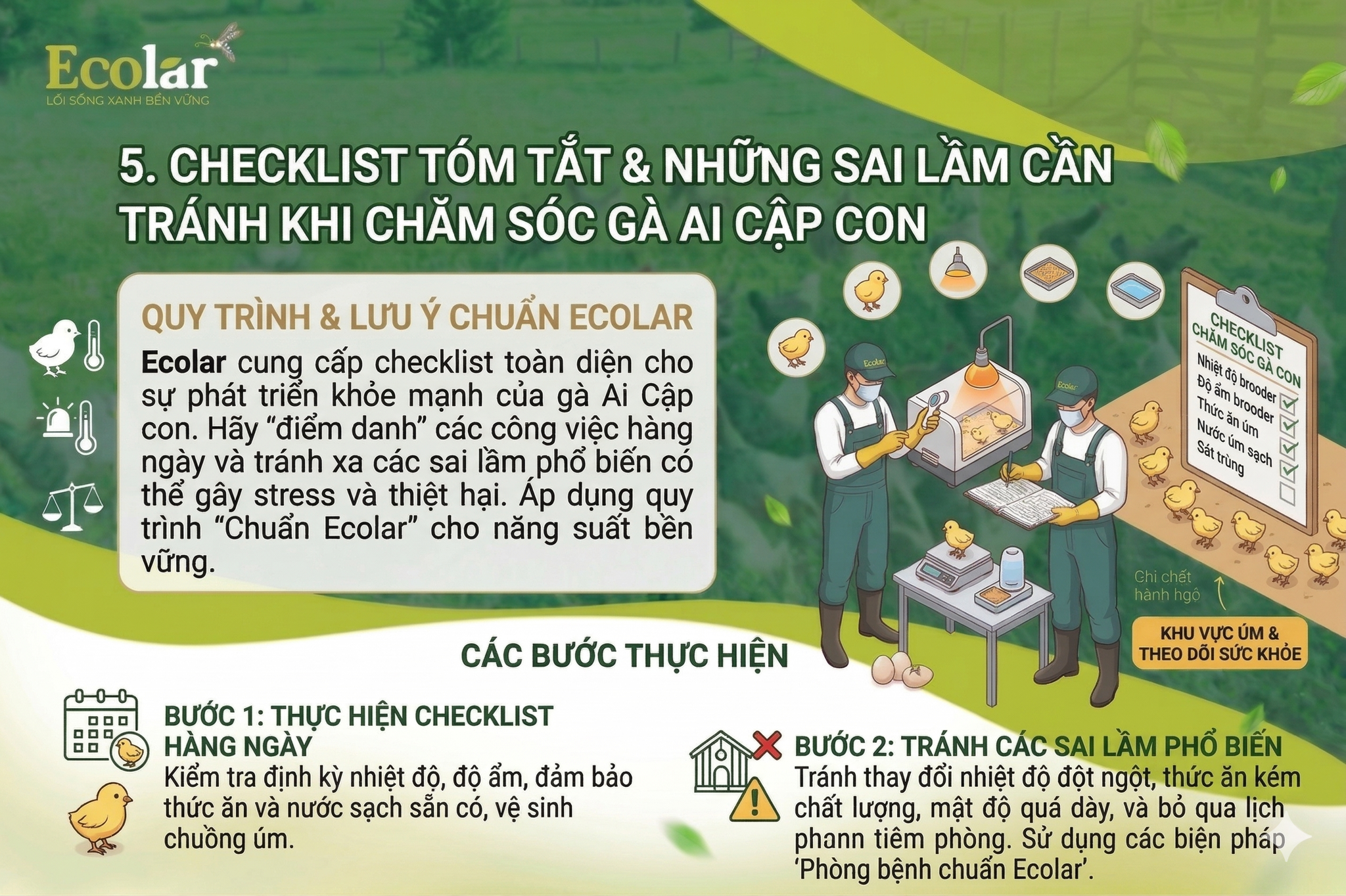 Checklist Tóm Tắt & Những Sai Lầm Cần Tránh Khi Chăm Sóc Gà Ai Cập Con
