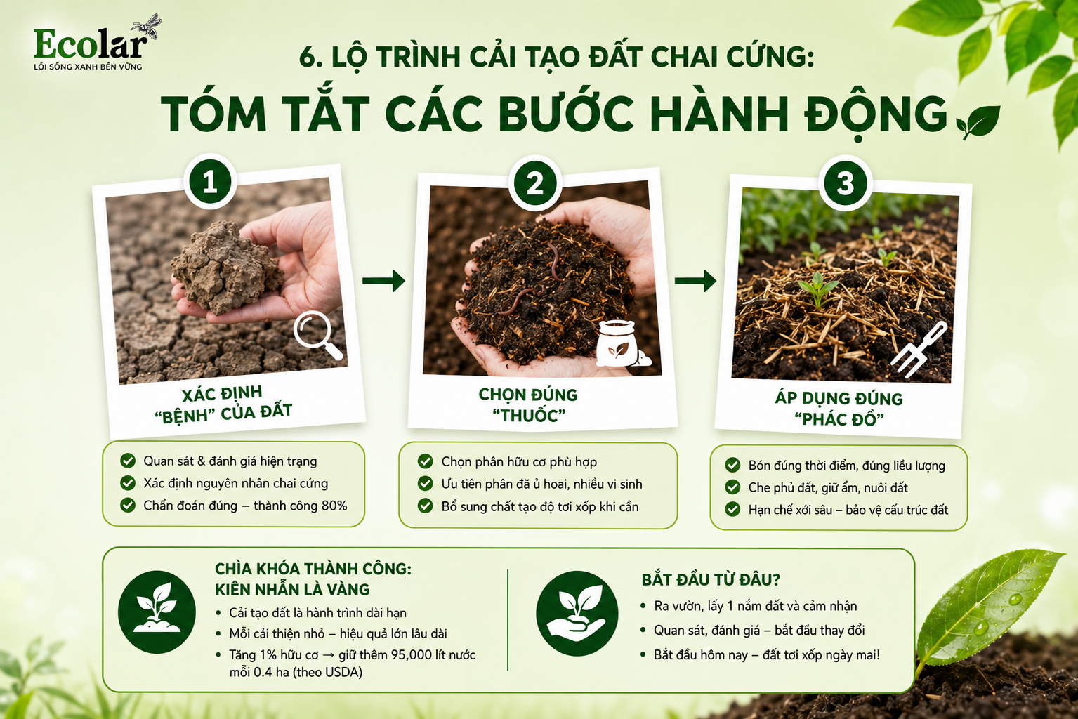Lộ Trình Cải Tạo Đất Chai Cứng: Tóm Tắt Các Bước Hành Động