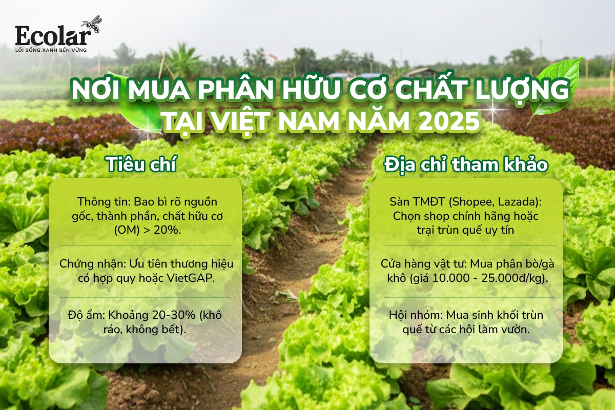 noi-mua-phan-huu-co-chat-luong-tai-viet-nam-nam-2025