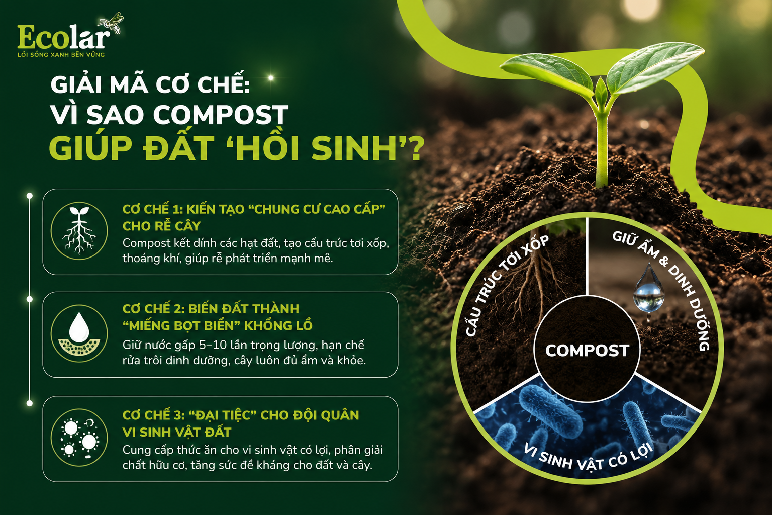 Giải Mã Cơ Chế: Vì Sao Compost Giúp Đất 'Hồi Sinh'?
