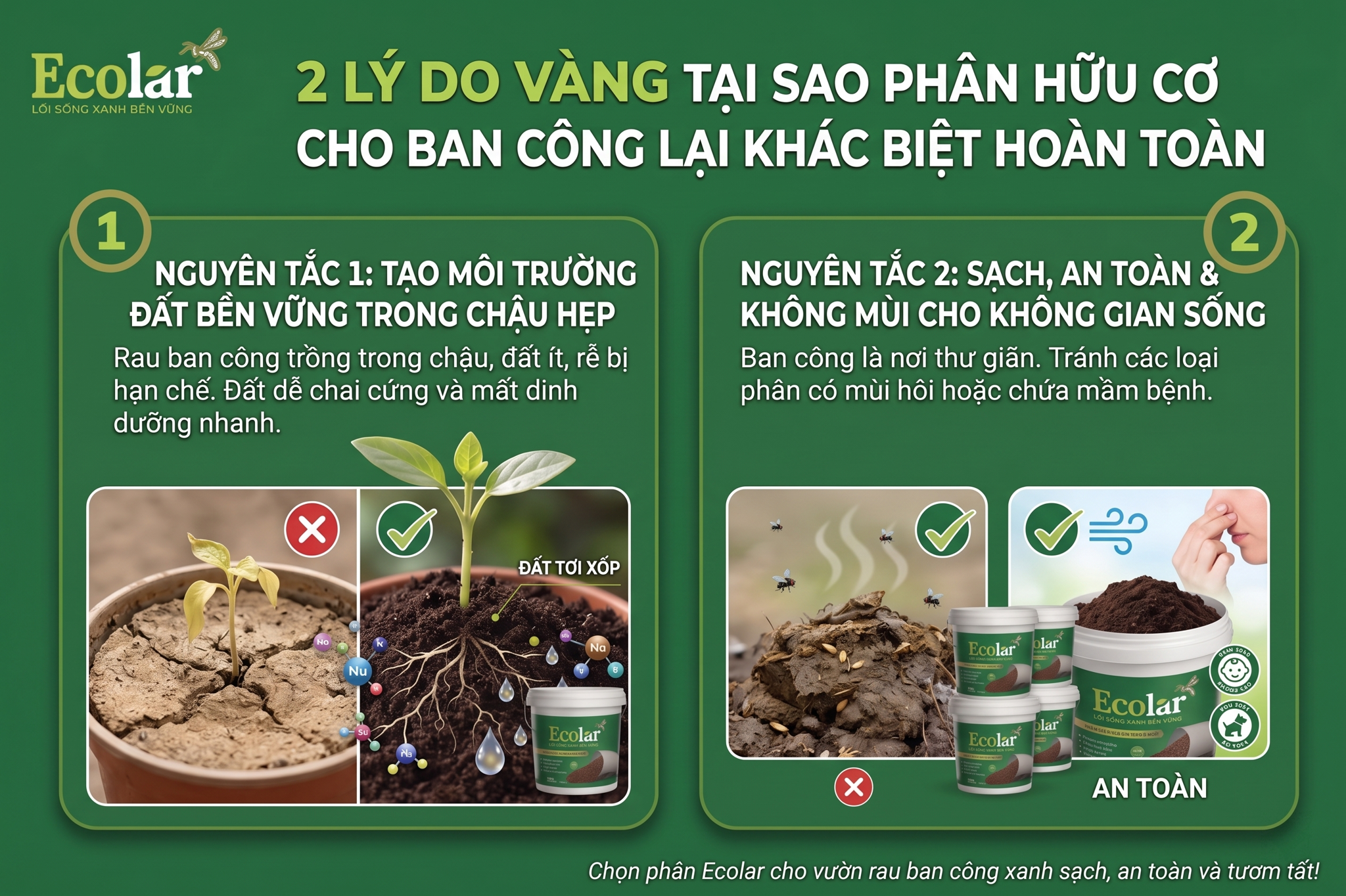 Tại Sao Chọn Phân Hữu Cơ Cho Ban Công Lại Khác Biệt Hoàn Toàn?