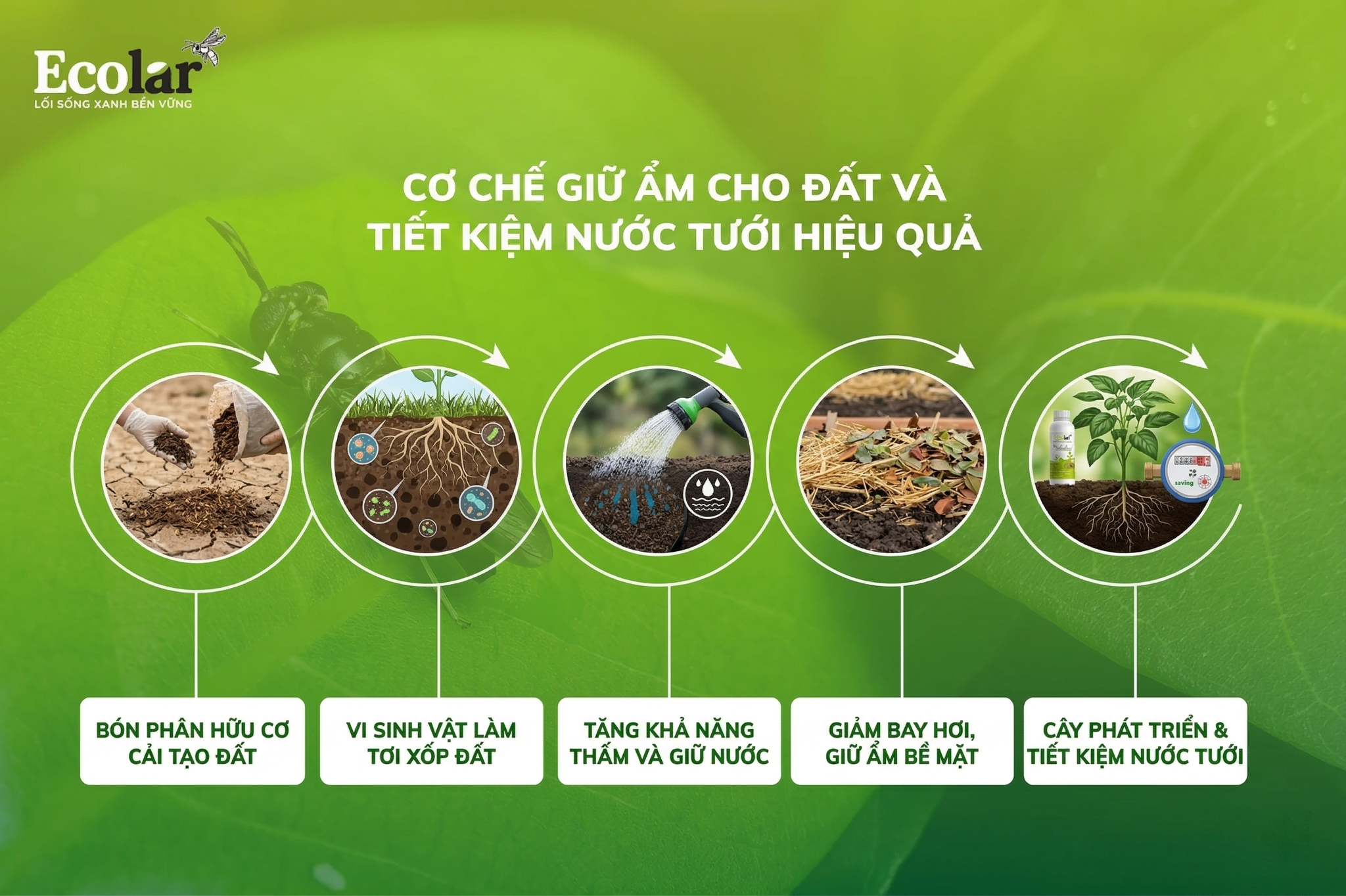 Giữ ẩm cho đất, tiết kiệm nước tưới hiệu quả