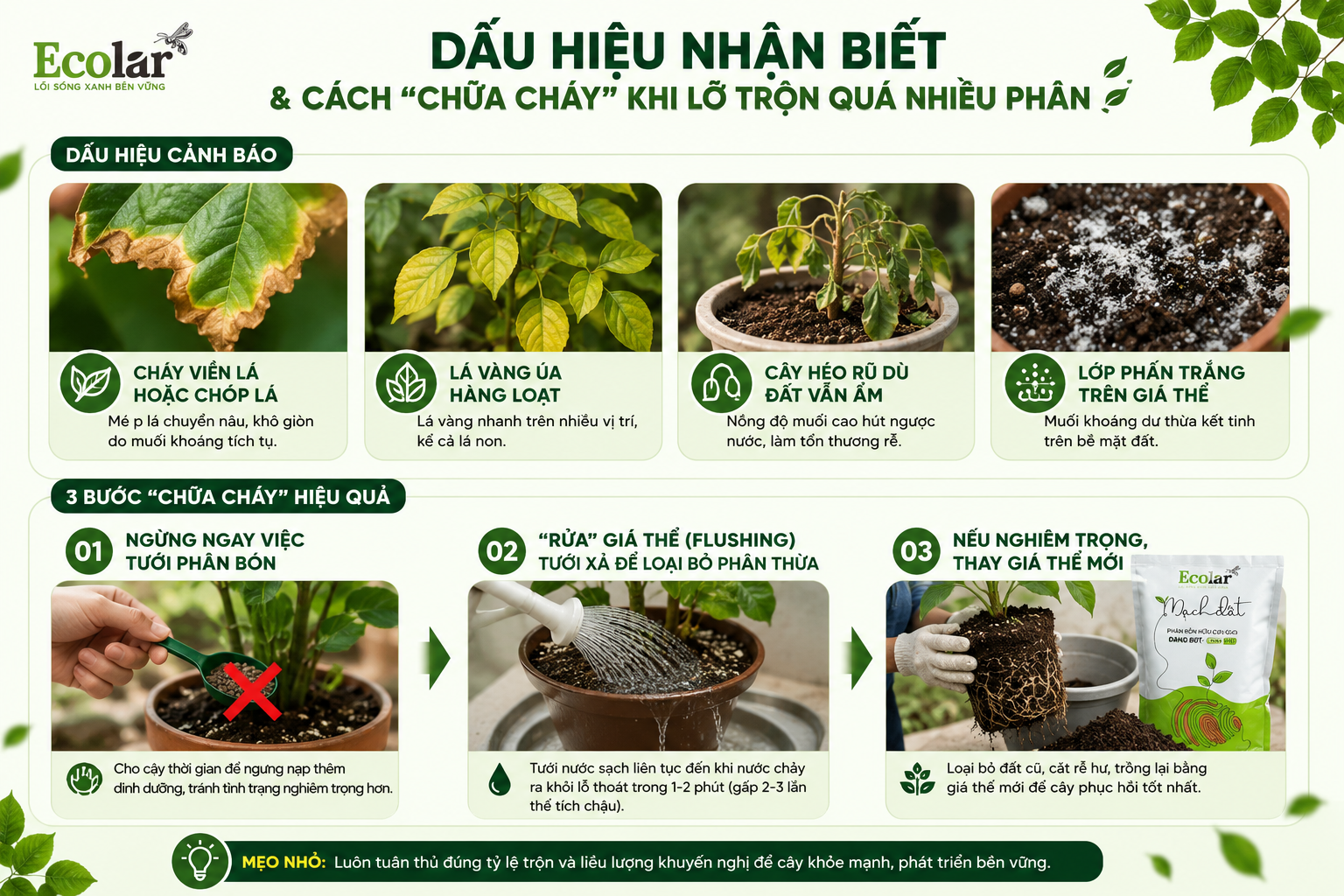 Dấu Hiệu Nhận Biết & Cách 