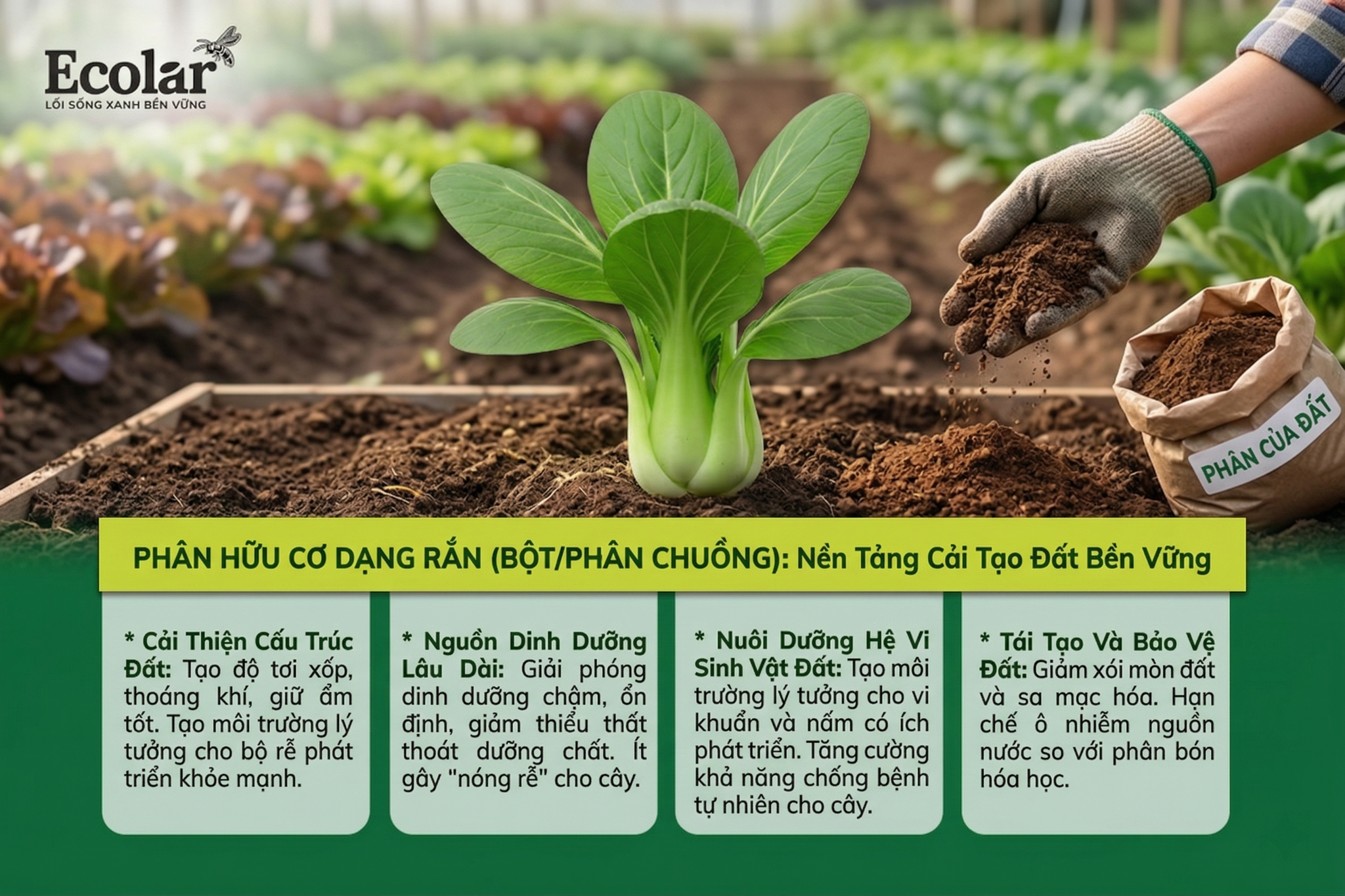 Nền Tảng Cải Tạo Đất Bền Vững