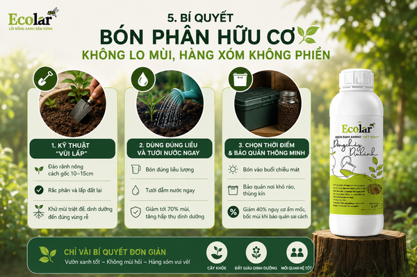 Bí Quyết Bón Phân Hữu Cơ Không Lo Mùi, Hàng Xóm Không Phiền
