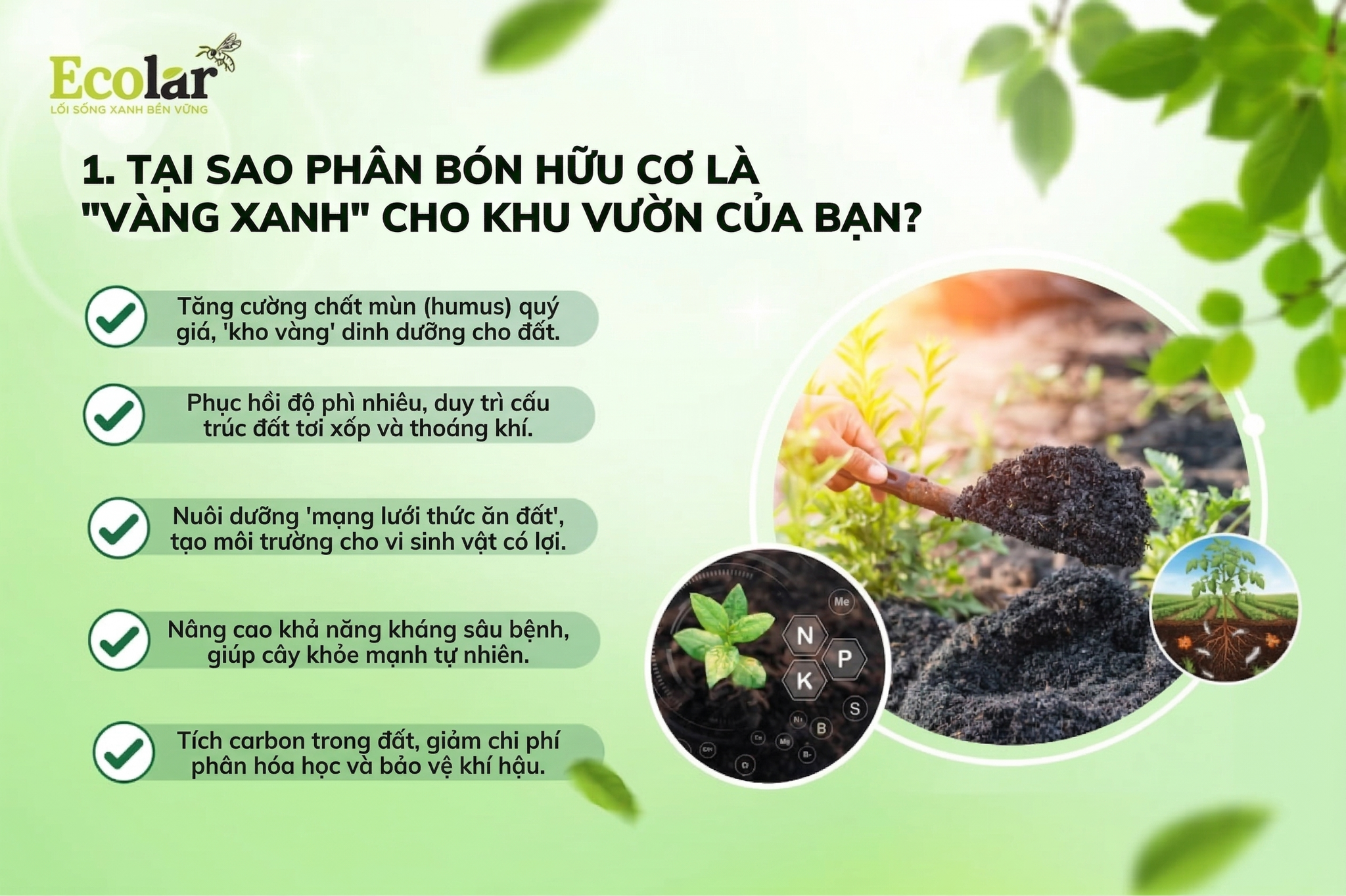 Tại Sao Phân Bón Hữu Cơ Là 'Vàng Xanh' Cho Khu Vườn Của Bạn?