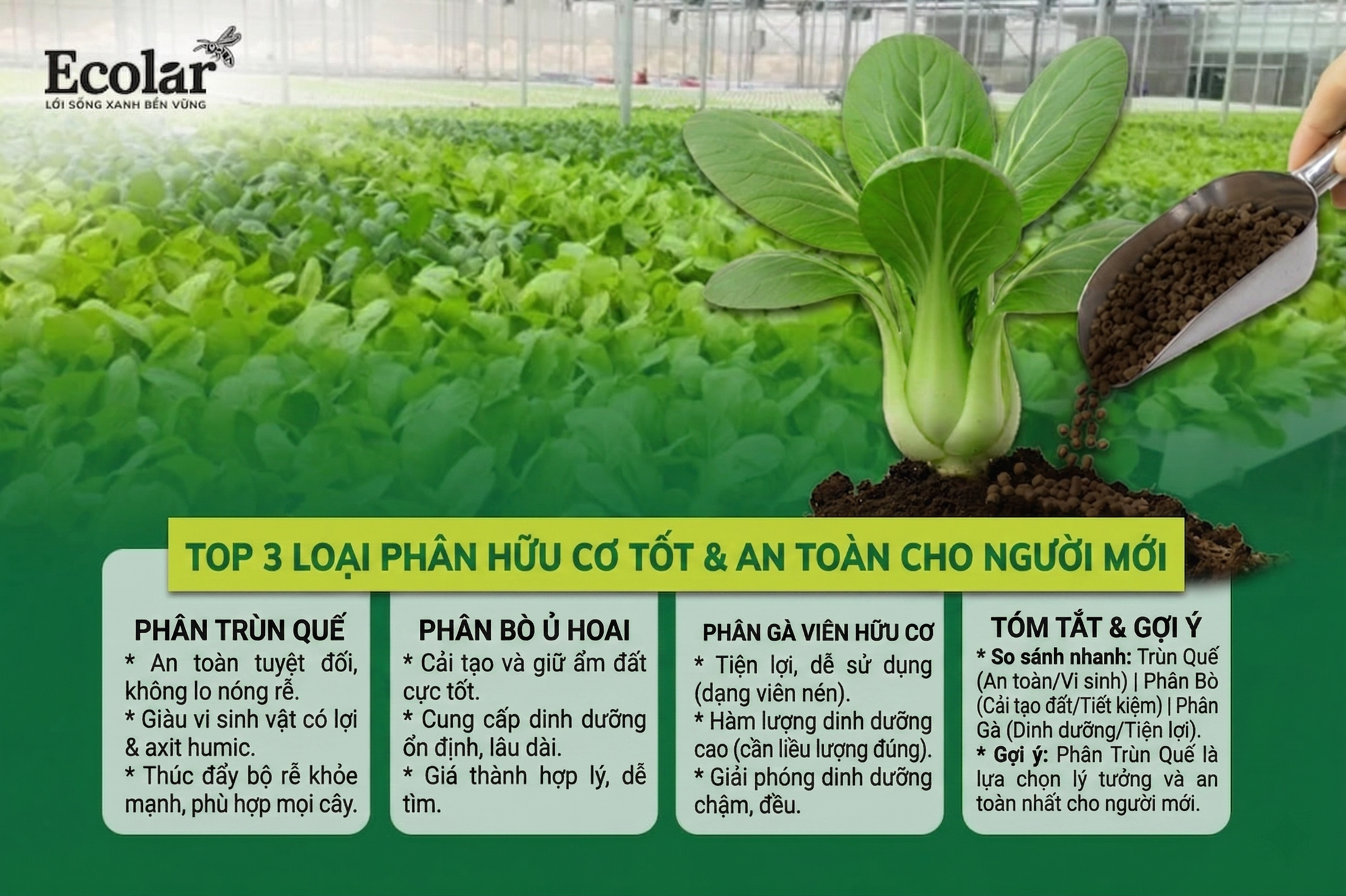 Top 3 Loại Phân Hữu Cơ Tốt Và An Toàn Nhất Cho Người Mới