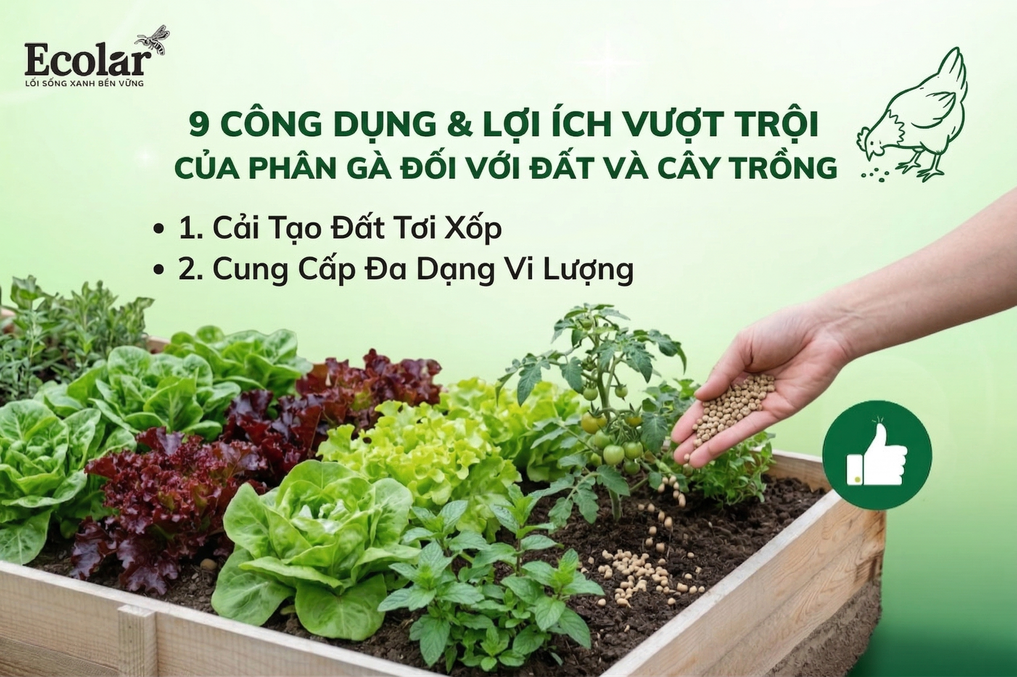 9 Công Dụng & Lợi Ích Vượt Trội Của Phân Gà Đối Với Đất Và Cây Trồng