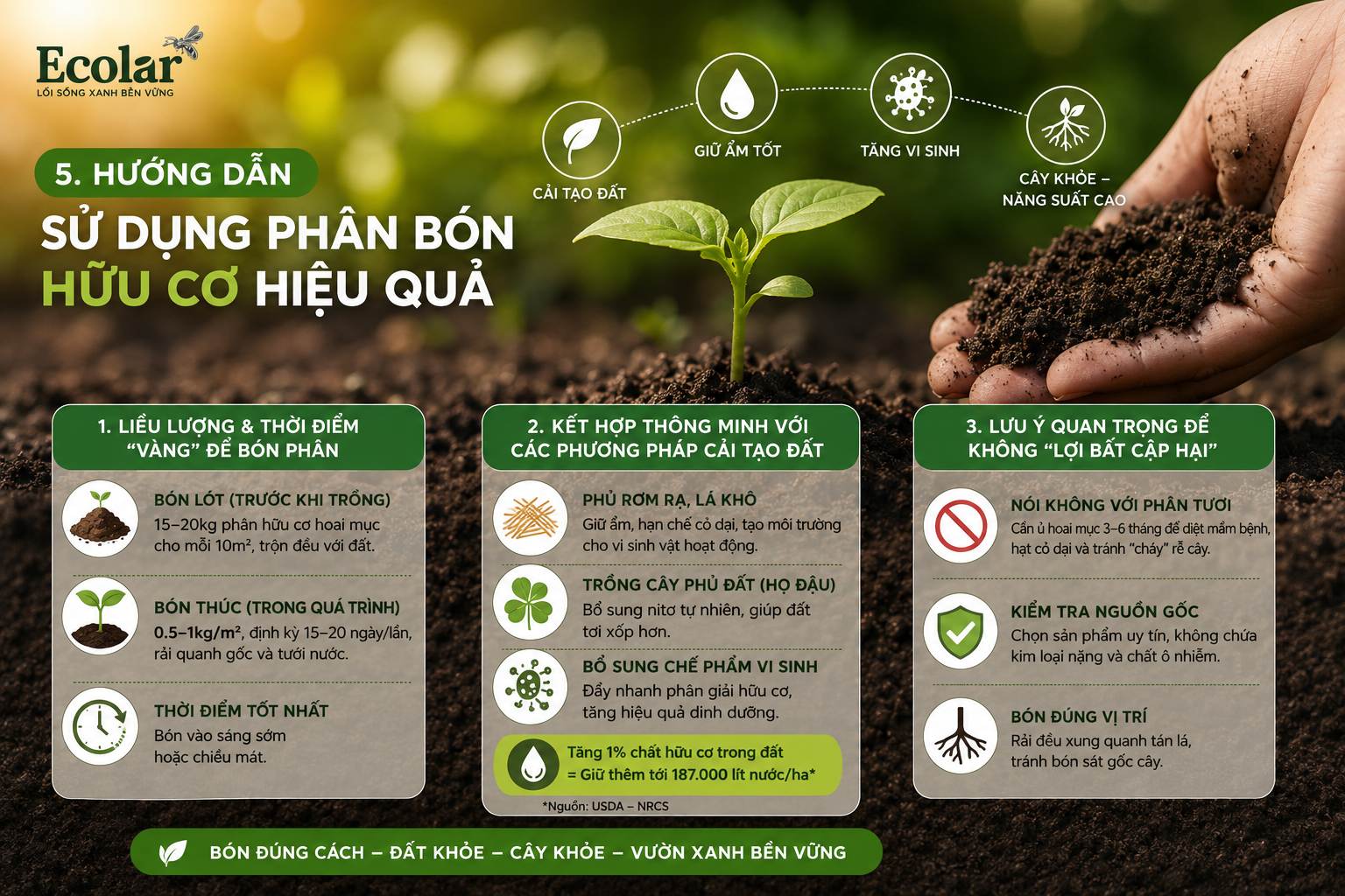 Hướng Dẫn Sử Dụng Phân Bón Hữu Cơ Hiệu Quả