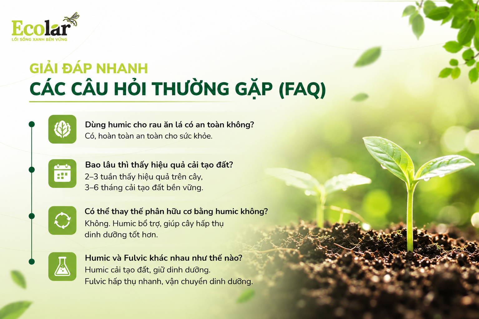 Giải Đáp Nhanh Các Câu Hỏi Thường Gặp (FAQ)