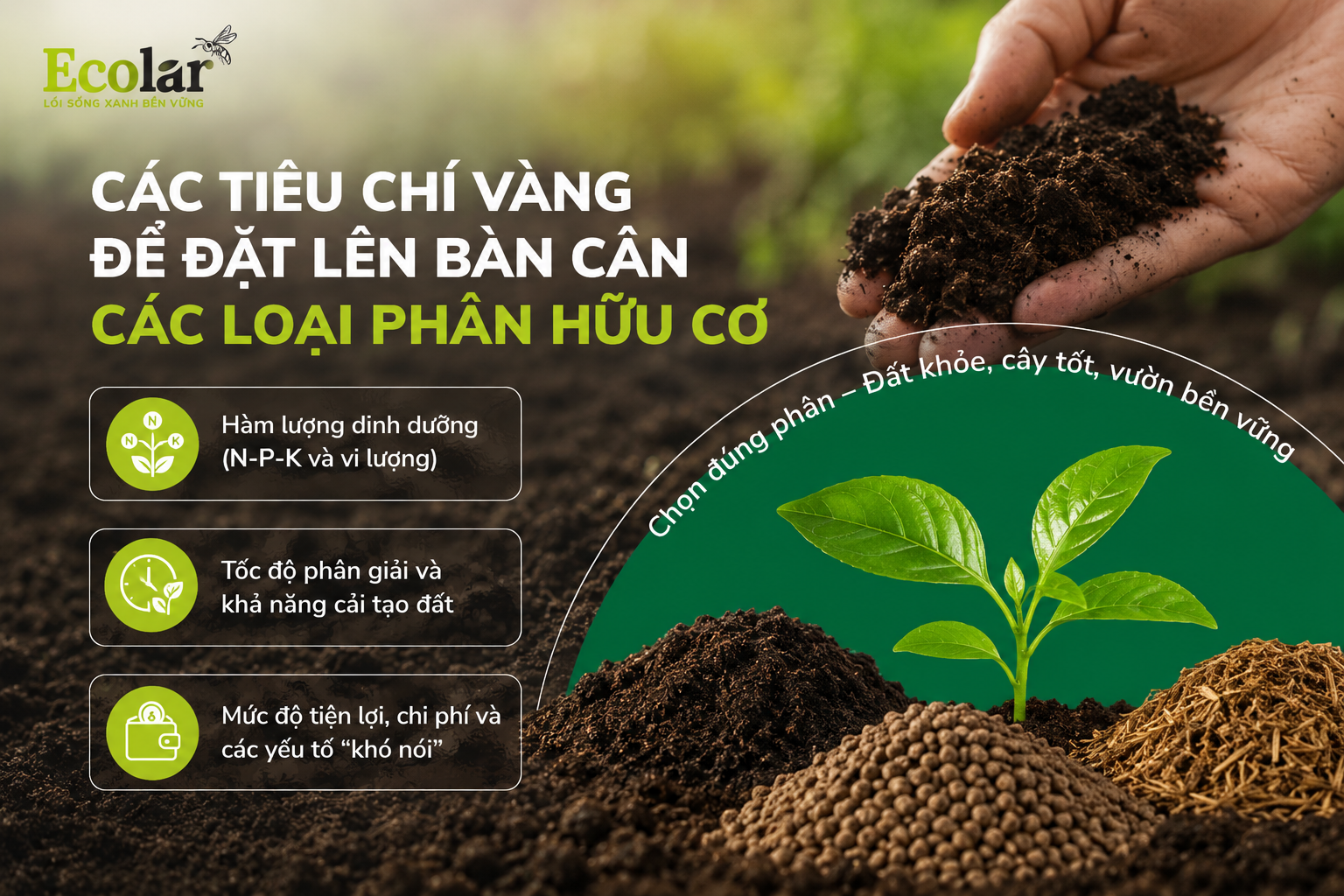 Các Tiêu Chí Vàng Để Đặt Lên Bàn Cân Các Loại Phân Hữu Cơ