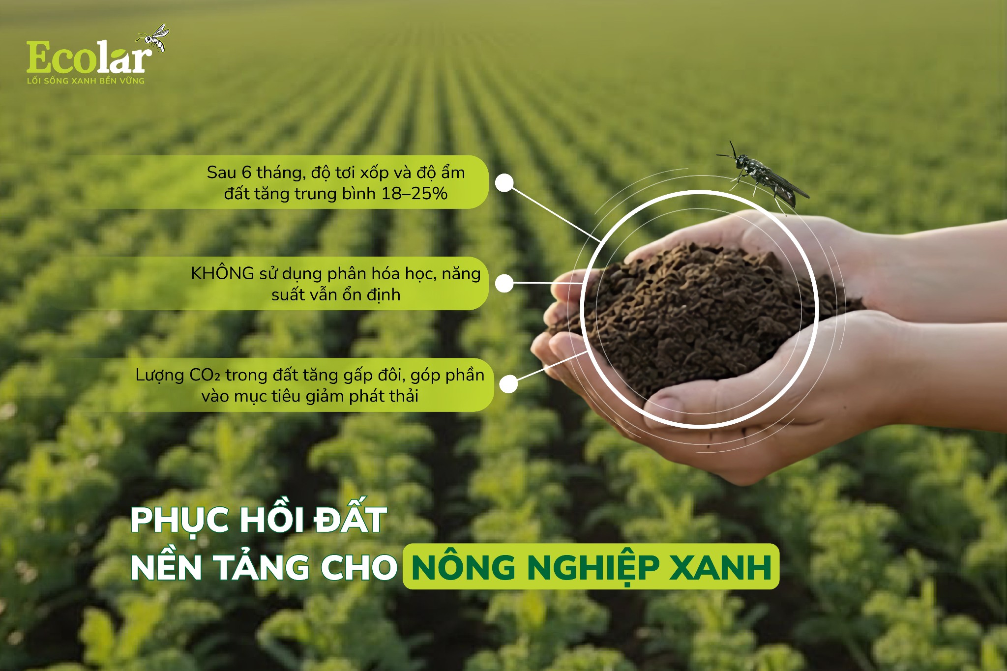 Phục hồi đất – nền tảng cho nông nghiệp xanh