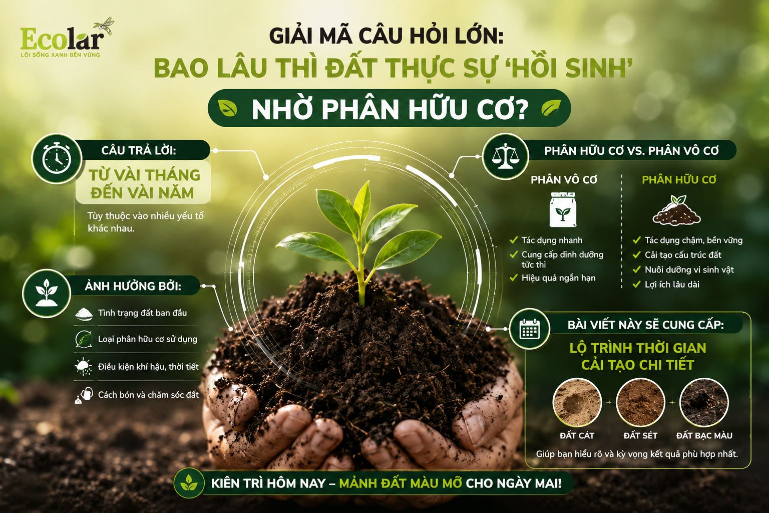 Giải Mã Câu Hỏi Lớn: Bao Lâu Thì Đất Thực Sự 'Hồi Sinh' Nhờ Phân Hữu Cơ?